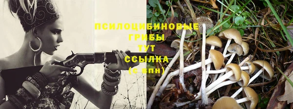 хмурый Баксан