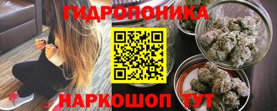 каннабис Новодвинск