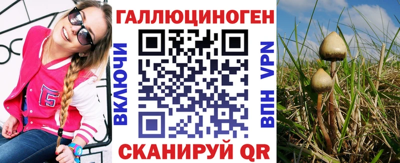 Галлюциногенные грибы GOLDEN TEACHER  цены   ОМГ ОМГ ONION  Черняховск 