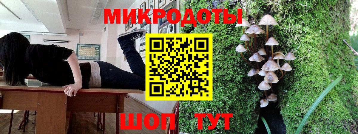 Псилоцибиновые грибы Magic Shrooms  как найти   Черняховск  Вход с VPN 
